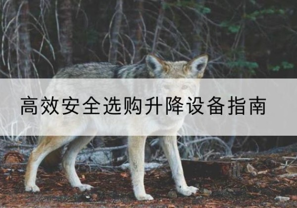 赫山升降货梯厂家推荐-*安全选购升降设备指南