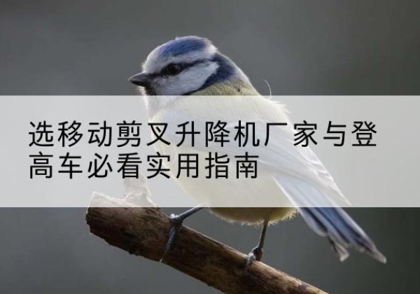 赫山电动升降机厂家-选移动剪叉升降机厂家与登高车必看实用指南