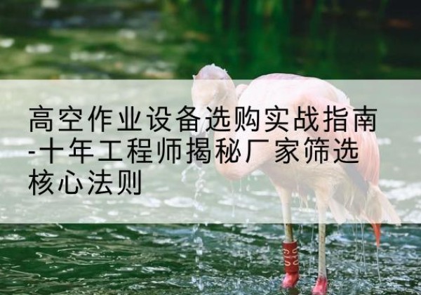 赫山剪叉式升降机厂家-高空作业设备选购实战指南-十年工程师揭秘厂家筛选核心法则